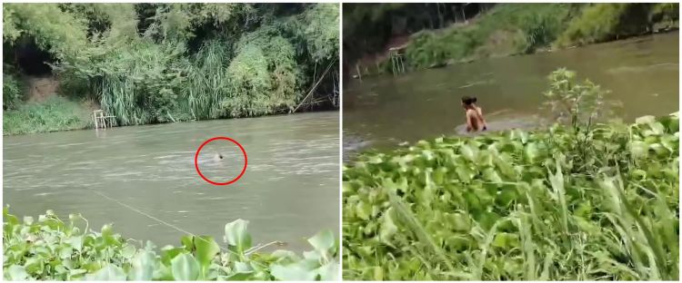 Aksi heroik pemancing selamatkan bocah hanyut di Sungai Brantas cuma pakai tali senar, tuai pujian