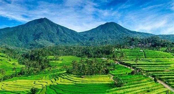 Keindahan Pemandangan Terasering Sawah Di Jatiluwih, Warisan Dunia Unesco